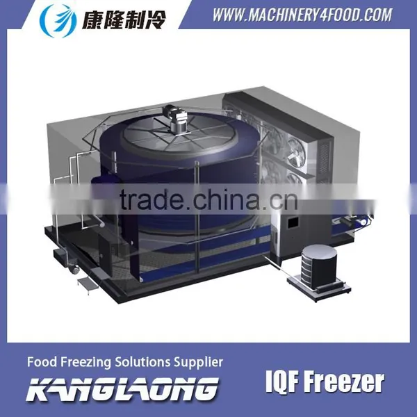 2015 New Design High Quality Spiral Frozen Food Plants photo-2