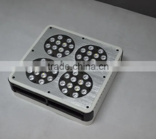 Wholesale Led Grow Lights photo-6