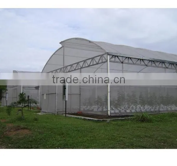 Multi-span Greenhouse With Greenhouse Window Opener System photo-6