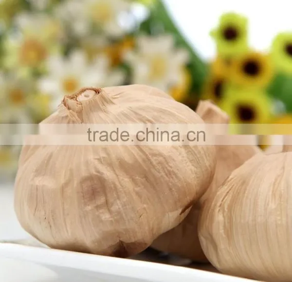 Many Heads Black Garlic P.E.--HC Company photo-5