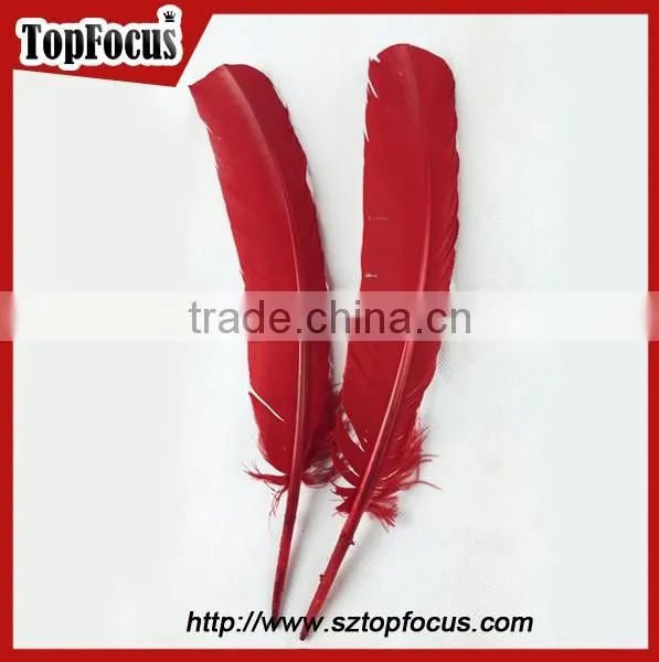 Factory Prices Wholesale Prime Quality Dyed Turkey Wing Feather photo-2