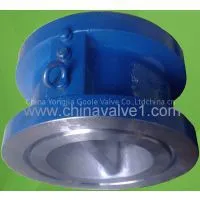 Dual Plate Wafer Check Valve