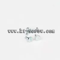 Stainless Steel High Quality Precision Screws , Micro Screws