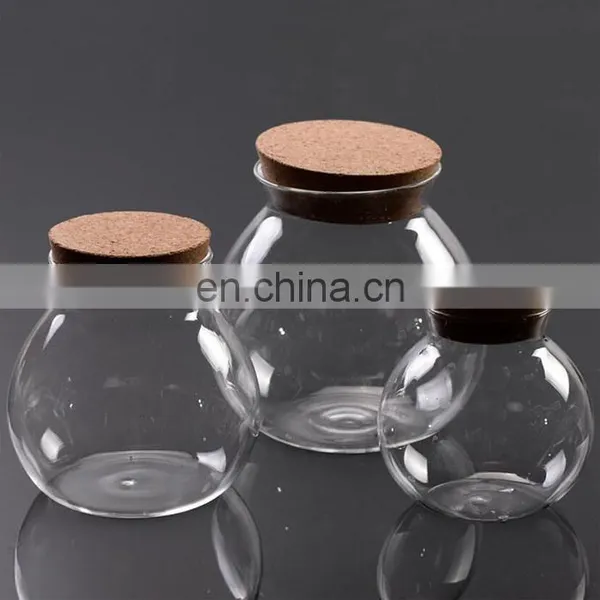 Glass Terrarium Plant Terrarium With Wooden Cover Clear Glass Flower Vase