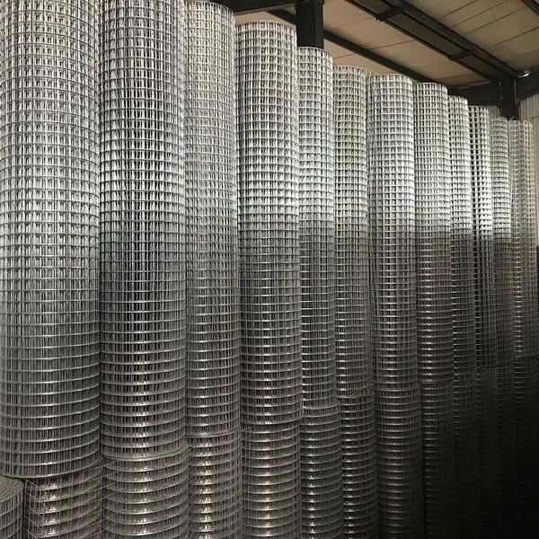 Galvanized+PVC Coated Welded Wire Mesh Rolls - Square Hole Design photo-3