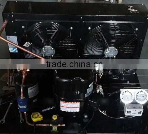 Open and Scroll Type Copeland Cooling Unit for Sale photo-2