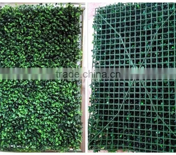 High Quality Artificial Boxwood Mat/ Hedge for Decoration Wall photo-5