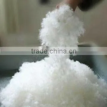 85% Washed White Duck Down photo-3