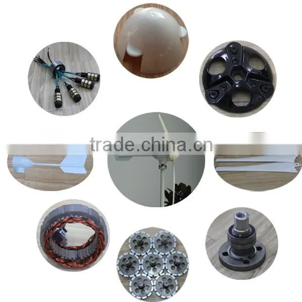 Wind Power Generator Type 300w Wind Turbine for Sale photo-3