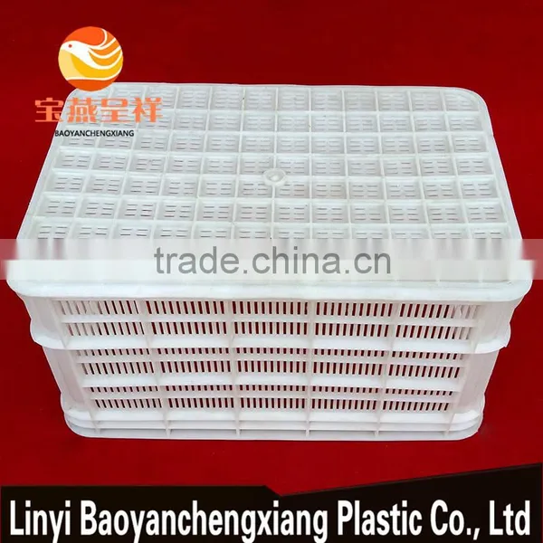 520x360x280mm Plastic Fruit Basket for Transportation photo-4