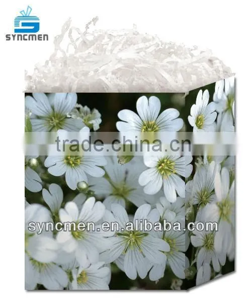 Natural Design Gift Bag, Paper Gift Bag photo-4