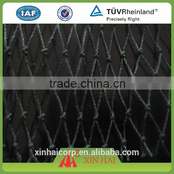 Cheap Recycled PE Net for Chicken Cultivation and Breeding With GG Color photo-2