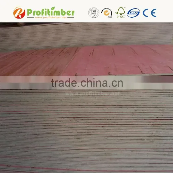 Exterior Grade Waterproof Plywood Sheet photo-5