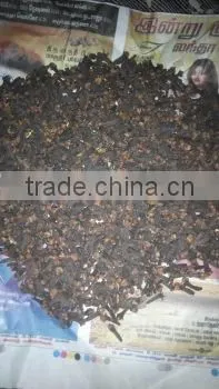 Cloves
