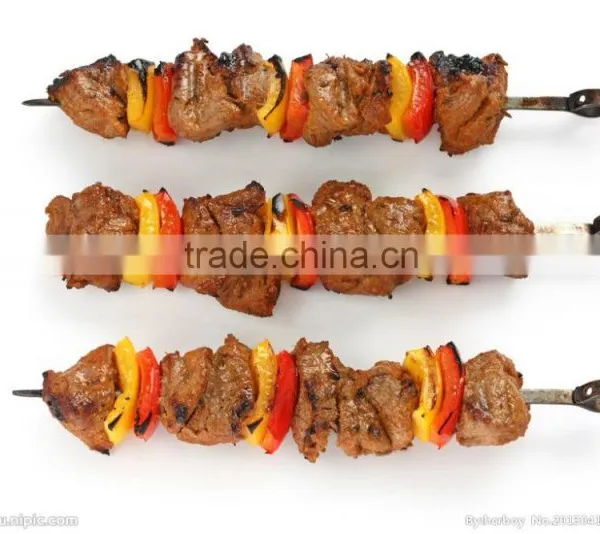 Hot Selling Brazilian Barbecue Bbq Grill Electric Motor for Barbecue photo-5