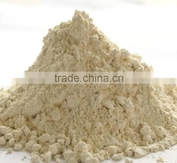 Manufacturer Supply 100% Pure Natural Raw Ginger Powder Raw Ginger Root Powder