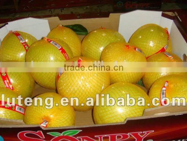 Chinese Fresh Pomelo Honey Pomelo Juicy Pomelo for Sale photo-2