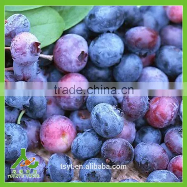 Frozen Iqf Wild Cultivated Blueberry photo-6