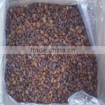 China Dried Sultana Raisin photo-2