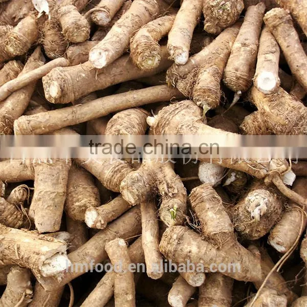 Good Quality Fresh Horseradish photo-5