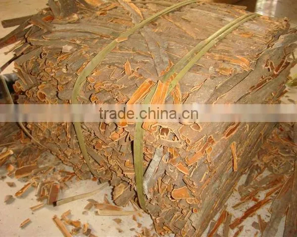 Cassia Whole