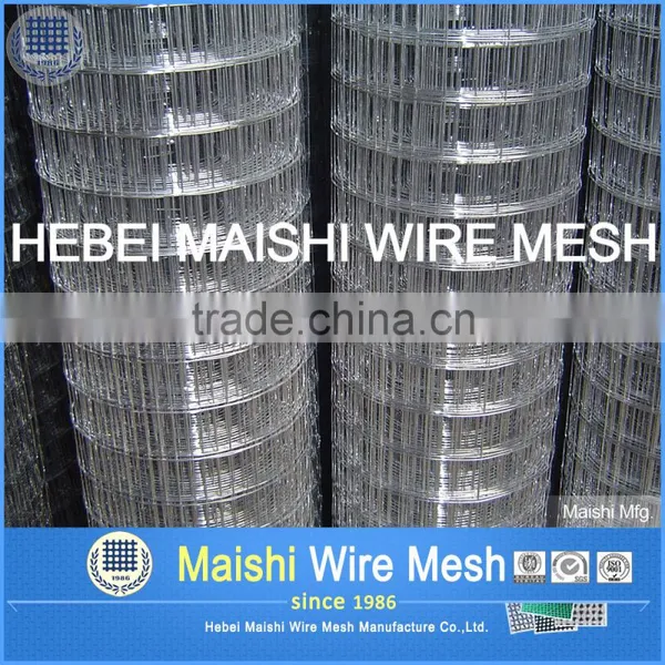 Welded Rabbit Cage Wire Mesh photo-5