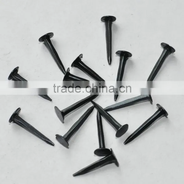 Blue Tack Shoe Nail photo-2