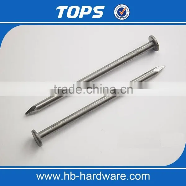 Common Iron Nail/ Common Wire Nail photo-5