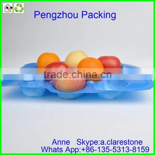 Pengzhou Plastic Mushroom Tray photo-3