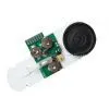 Sound Module for Greeting Card