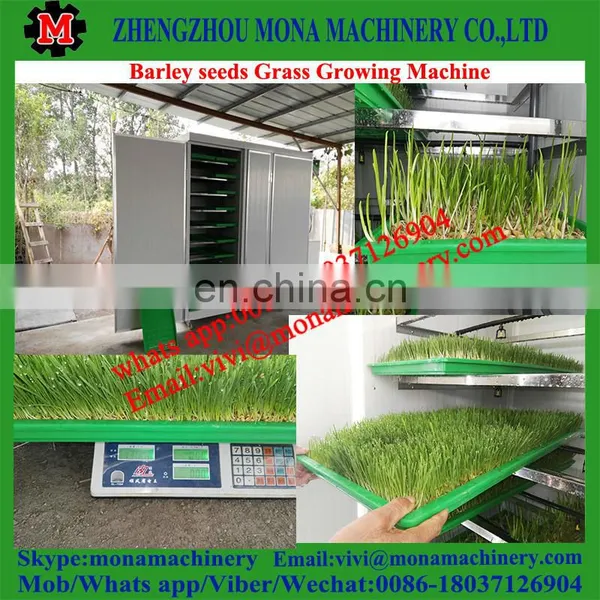 High Capacity Barley/oats/pea Bean/Radish Sprouts Growing Machinery photo-2