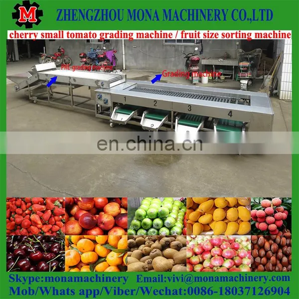 Hot Mandarin Grading Machine Orange Cleaning and Grading Machine photo-6