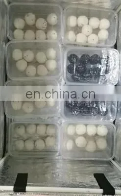 Yummy Street Snack Fried Food Vietnamese Sesame Ball Encrusting Machine for Sale photo-4