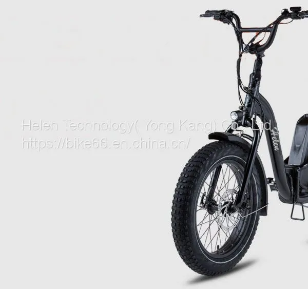 500W 750W 1000W 36V 48V Safe Battery 20 Inch Fat Tire Adult Electric Folding Bike Electric Bicycles photo-2