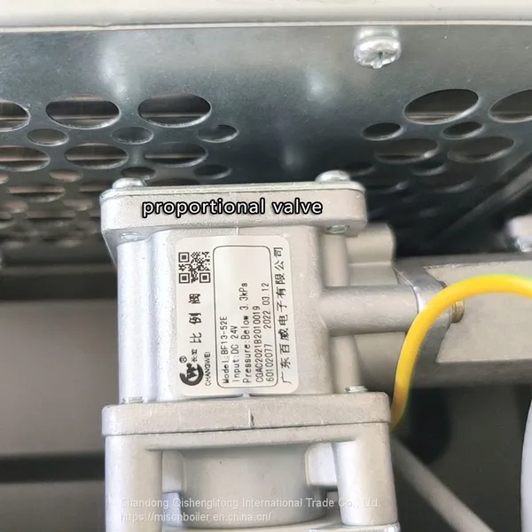 6l/8l/12l/14l/16l/20l/24l Wholesale Price Portable Gas Water Heater Gas Water Heater Gas Boiler photo-5