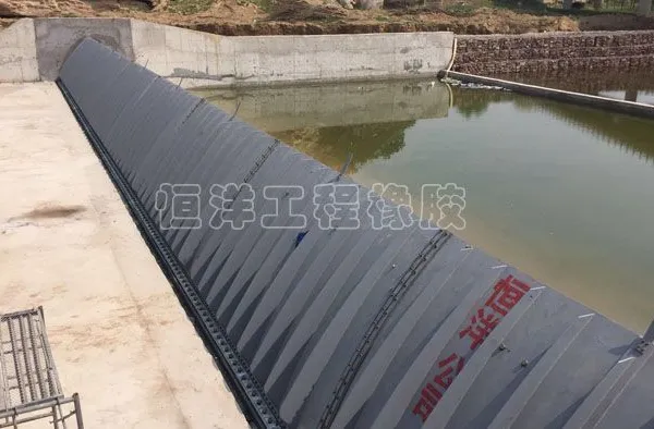 Changhe Water Conservancy Project Hydraulic Steel Dam Water Barrier Dam Bottom Shaft Dam Drive Lifting Landscape Gate