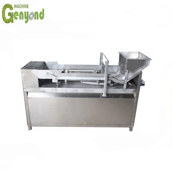 Shanghai Complete Mango Bar Production Line for Food Processing for Fruit Processing photo-5