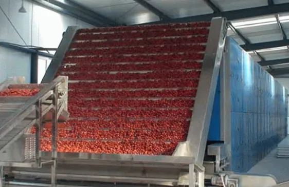 Candied Fruit Vegetable Processing Line Candied Prune Apricot Peach Kumquat Making Machine photo-2