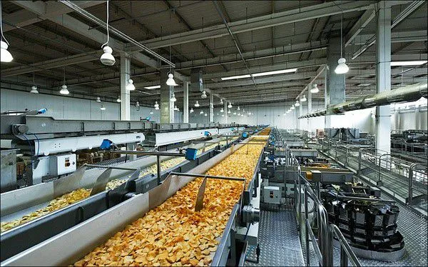 Shanghai FACTORY Small Scale Frozen French Fries Production Line/pringles Potato Chips Making Machine With Best Price photo-5