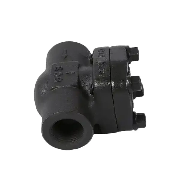 Manufacturer Direct Sales Threaded Check Valve Forged Steel Check Valve photo-2
