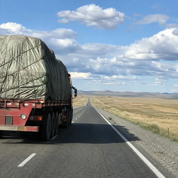 China nach Kasachstan DDP LKW-Transport für gewerbliche Fracht photo-4