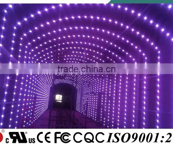 YD CE UL Approved IP68 Amusement Rgb Led photo-2