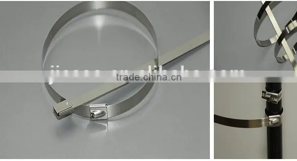 Epoxy Coated Stainless Steel Cable Tie photo-3