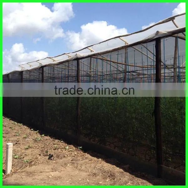 High Quality Agricultural Green Sun Shade Net With the Shade Rate From 20% to 95% photo-5