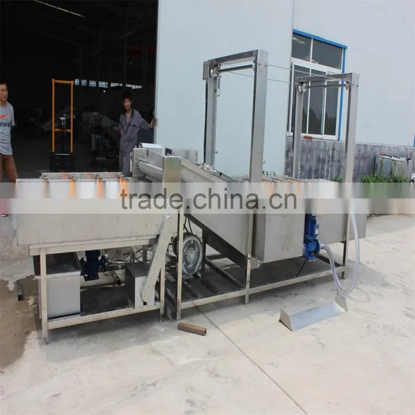Palm Date Washing Sorting Machine photo-6