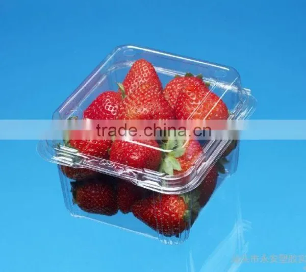 Plastic Clear Strawberry Packaging Box With Lid photo-4