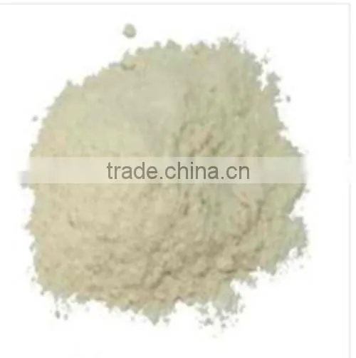 Best Quality Vegetable Extract Garlic Extract/ Nautral Garlic Oil