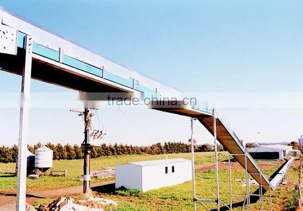 Central Egg Conveyor System photo-3