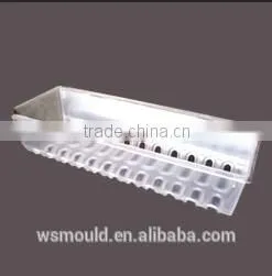 Plastic Injection Mold for Plastic Casing/PS Mould
