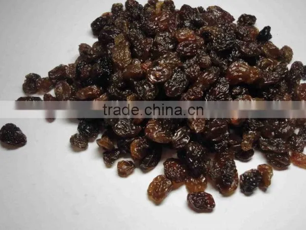 Raisin photo-3